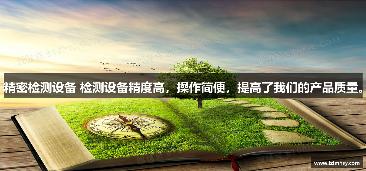 精密检测设备 检测设备精度高，操作简便，提高了我们的产品质量。